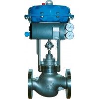 شیر کنترل آرکا | ARCA Globe control valve ANSI 300 SERIES 6N